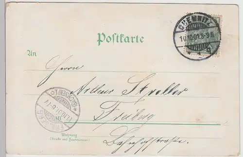 (112446) AK Gruß aus Chemnitz, Schlossteich, Brücke, Insel 1901