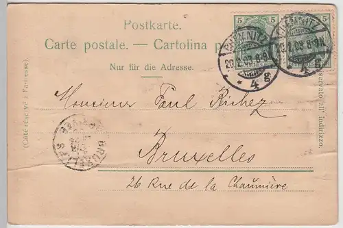 (110932) AK Chemnitz, Waldschänke, Reliefkarte 1903