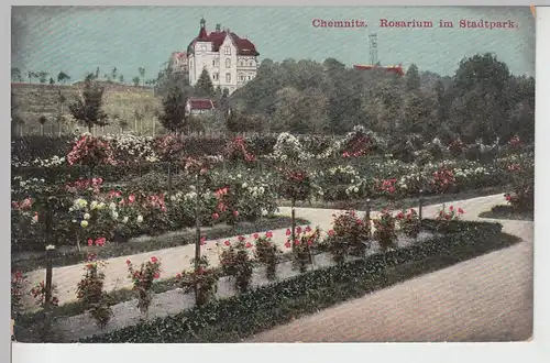 (106512) AK Chemnitz, Rosarium im Stadtpark, 1911