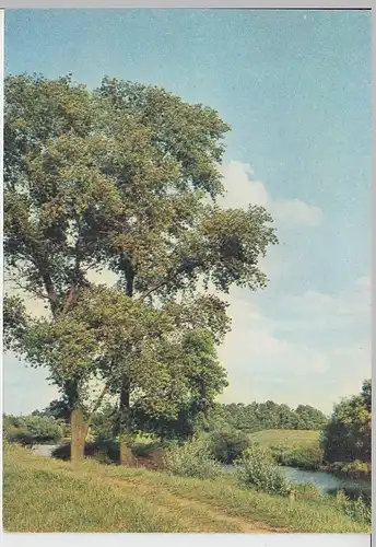 (96434) AK Tiefland bei Bremen, 1945-1950er