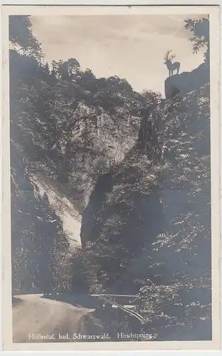 (88754) Foto AK Höllental im Schwarzwald, Hirschsprung, vor 1945