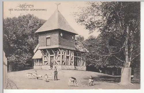 (110585) AK Bremen, Wildgehege im Bürgerpark, 1906