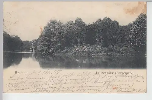 (104173) AK Bremen, Laubengang im Bürgerpark, 1905