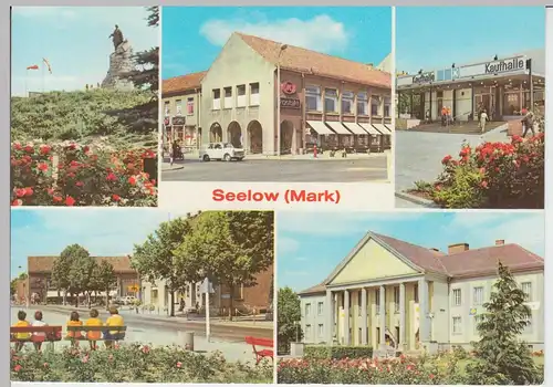 (96648) AK Seelow, Mehrbildkarte, 1988