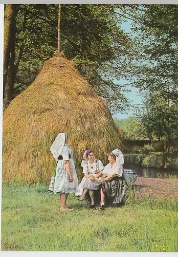 (96577) AK Spreewald, Frauen in Tracht, 1969