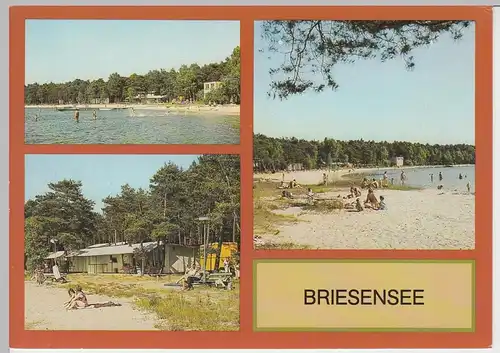 (92145) AK Briesensee, Mehrbildkarte, 1988