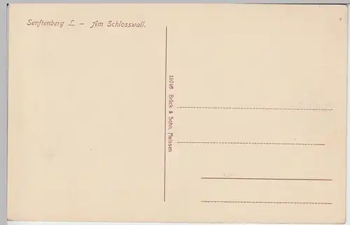 (90438) AK Senftenberg, Am Schlosswall, vor 1945