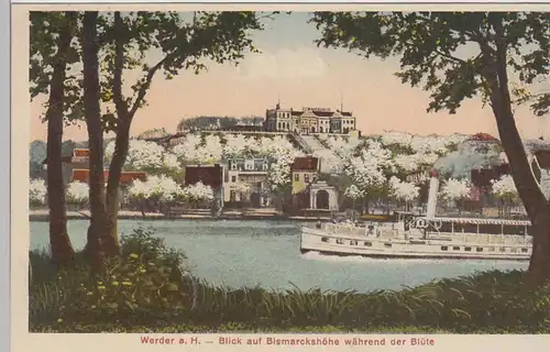 (90355) AK Werder a.H., Blick a. Bismarckshöhe während d. Blüte, 1926