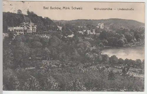 (90343) AK Buckow (Märkische Schweiz), Wilhelmshöhe Lindenstr. 1917