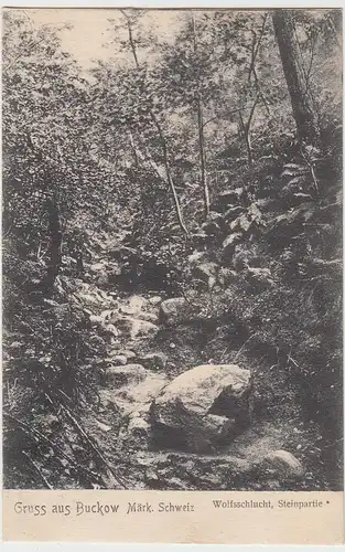 (88907) AK Gruss aus Buckow, Wolfsschlucht Steinpartie, 1906