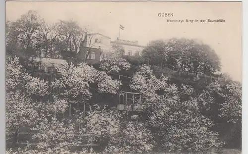 (88448) AK Guben, Kaminskys Berg in der Baumblüte, 1916