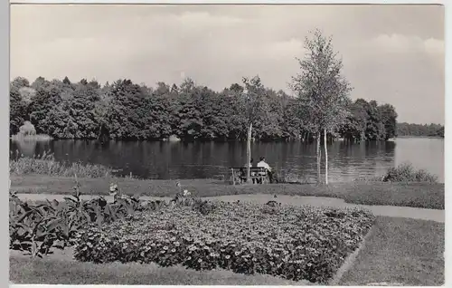 (88416) Foto AK Templin, Am Ratsteich 1965