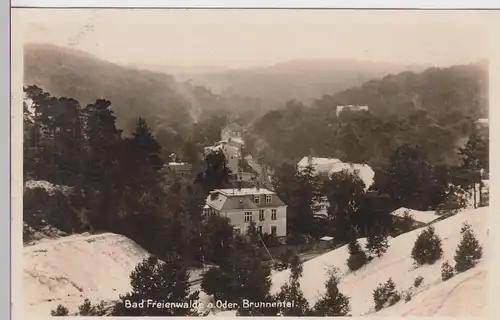 (88367) Foto AK Bad Freienwalde (Oder), Brunnental vor 1945