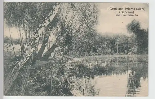 (88352) AK Gruss aus Prieros (Duberow), Motiv am tiefen See, 1924