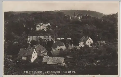 (81598) Foto AK Bad Freienwalde, Königshöhe, 1931