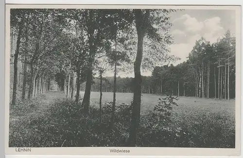 (80876) AK Lehnin, Wildwiese, 1928