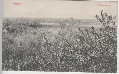 (80871) AK Werder a.d. Havel, Panorama 2, vor 1945