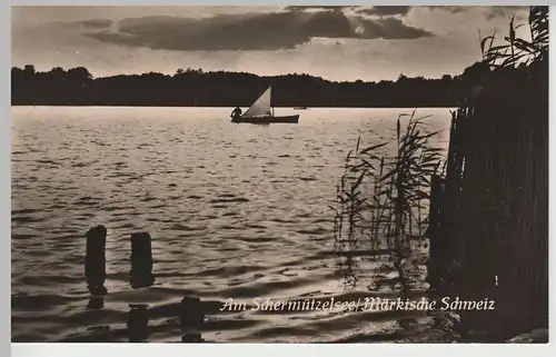 (80725) Foto AK Am Schermützelsee, 1961