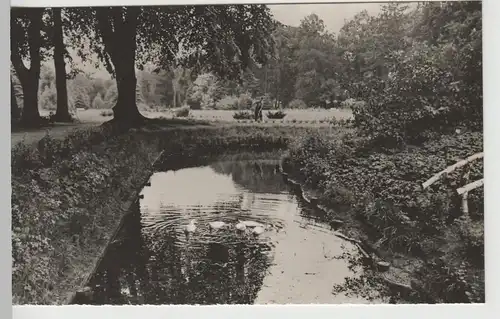 (79913) Foto AK Genesungsheim Stülpe, Blick in den Park 1965