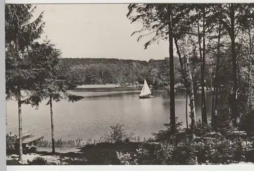(79200) Foto AK Buckow, Märk. Schweiz, Schermützelsee 1965