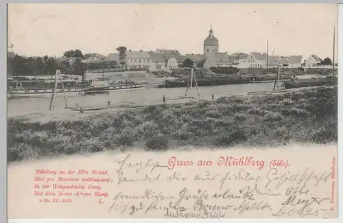 (77476) AK Gruss aus Mühlberg a.d Elbe, Panorama, 1899