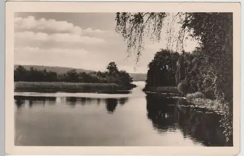 (72381) Foto AK Lychen, Blick über Knippschere zum Zenssee 1961