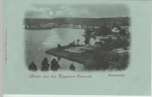 (71397) AK Gruss a.d. Ruppiner Schweiz, Binenwalde, Mondscheinkarte um 1900