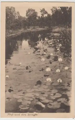 (65088) AK Storkow (Mark), Fließ nach dem Springsee 1929