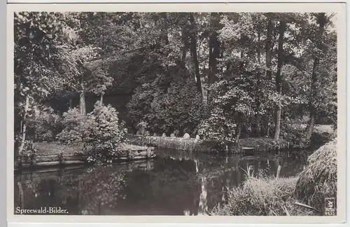 (59590) Foto AK Spreewald, Partie, SSt 1933