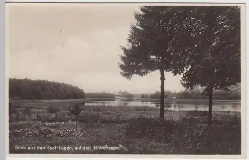 (53128) Foto AK Möllensee, Blick v.d. Saal-Logen, vor 1945