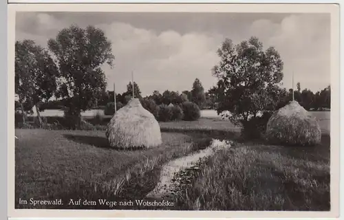 (52425) Foto AK Spreewald, Weg nach Wotschofska, Lehde