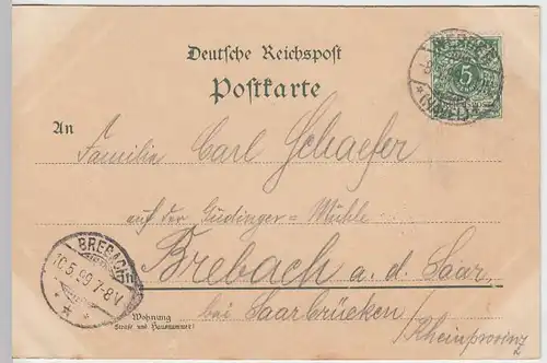 (31414) AK Werder a.H., Gruss von der Baumblüthe, Litho 1899