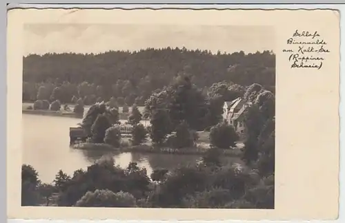 (23739) Foto AK Binenwalde, Kalksee, Schloss, vor 1945