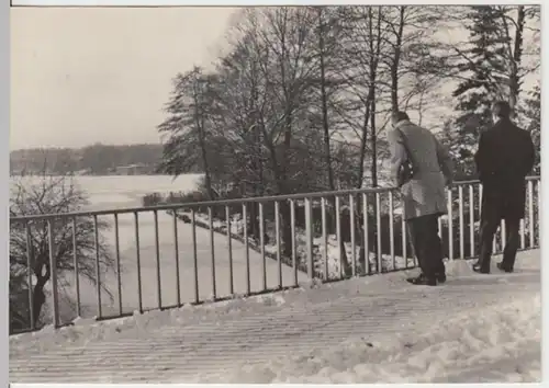 (14007) Foto AK Altbuchhorst, Peetzsee 1968