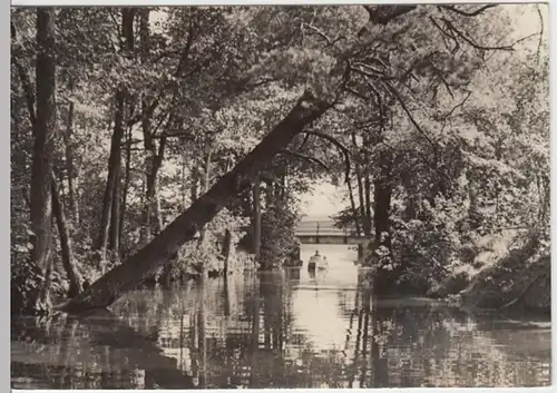(13871) Foto AK Wendisch Rietz, Fließ zum Springsee 1969