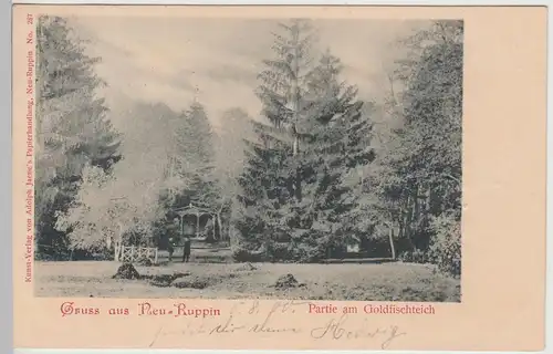 (115583) AK Gruss aus Neuruppin, Partie am Goldfischteich 1900