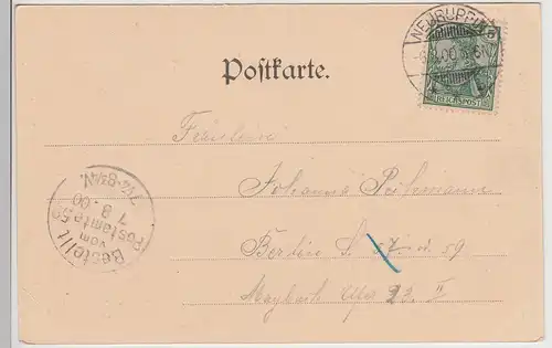 (115583) AK Gruss aus Neuruppin, Partie am Goldfischteich 1900