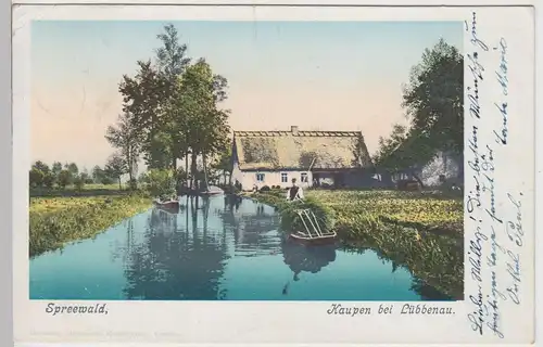 (113671) AK Spreewald, Kaupen bei Lübbenau 1901