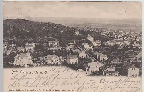 (113539) AK Bad Freienwalde, Oder, Panorama 1903