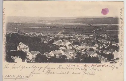 (112841) AK Gruss aus Bad Freienwalde, Totale 1901
