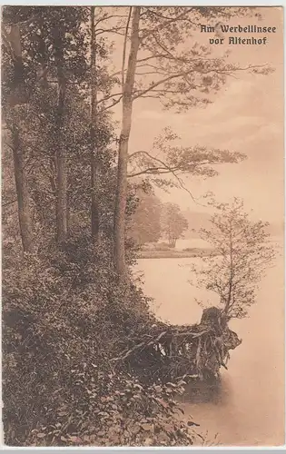 (110269) AK Werbellinsee vor Altenhof, vor 1945