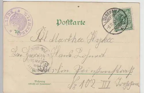 (109919) Künstler AK Gruß aus dem Spreewald, Kornernte in Burg, Kannomühle 1899