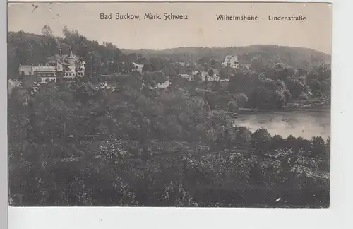 (109867) AK Buckow, Märkische Schweiz, Wilhelmshöhe, Lindenstraße 1917