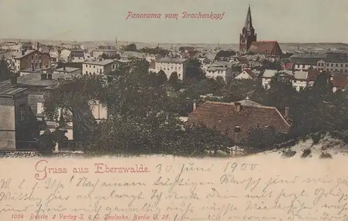 (107902) AK Gruß aus Eberswalde, Blick vom Drachenkopf, Maria Magdalenen Kirche