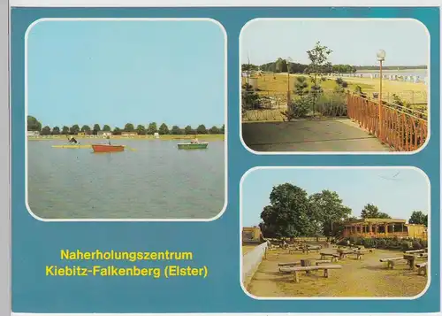 (102876) AK Kiebitz Falkenberg, Elster, Mehrbildkarte, Naherholungszentrum 1989