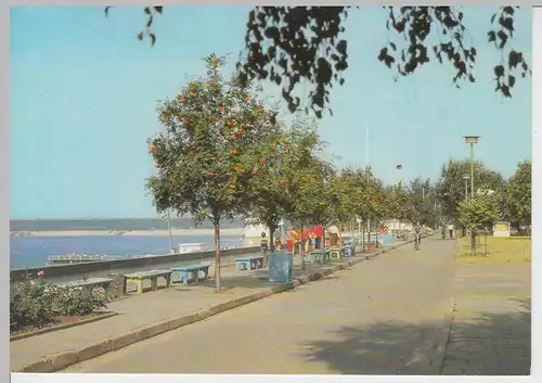 (102377) AK Frankfurt (Oder), Helene-See, Strandpromenade 1988