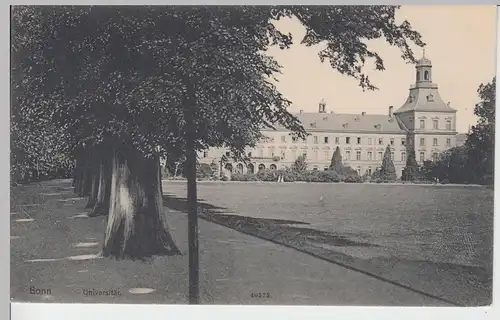 (95215) AK Bonn, Universität, vor 1945