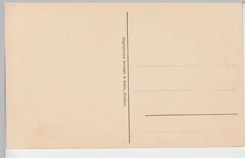 (95215) AK Bonn, Universität, vor 1945