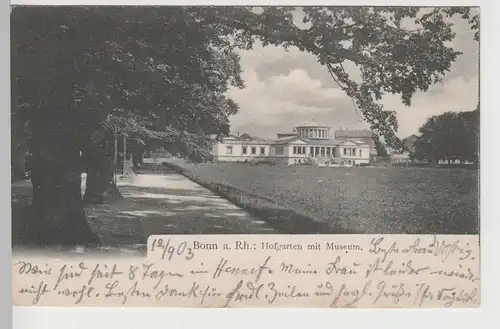 (81668) AK Bonn, Hofgarten mit Museum, 1903