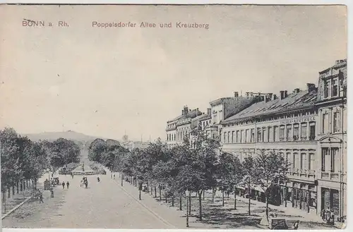 (113993) AK Bonn, Poppelsdorfer Allee, Kreuzberg 1908